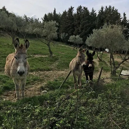 Podere Del Botruccio * Pomarance