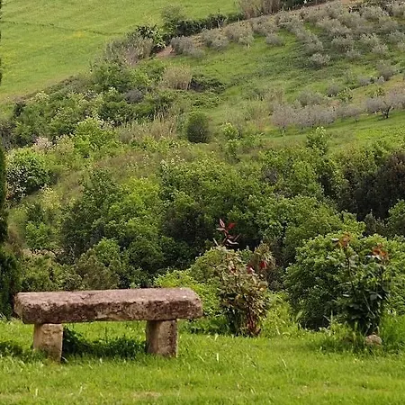 Podere Del Botruccio