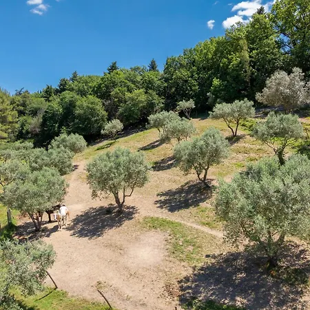 Podere Del Botruccio * Pomarance