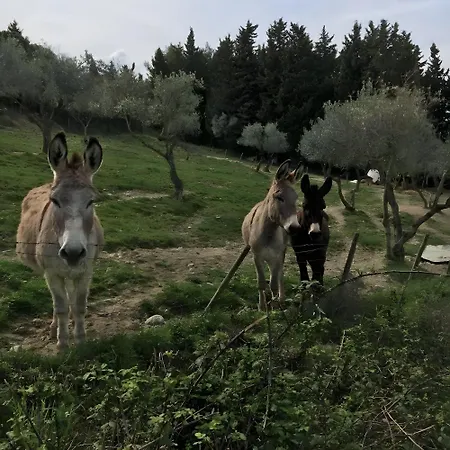 Podere Del Botruccio *