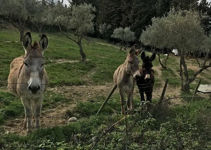 Podere Del Botruccio * Pomarance